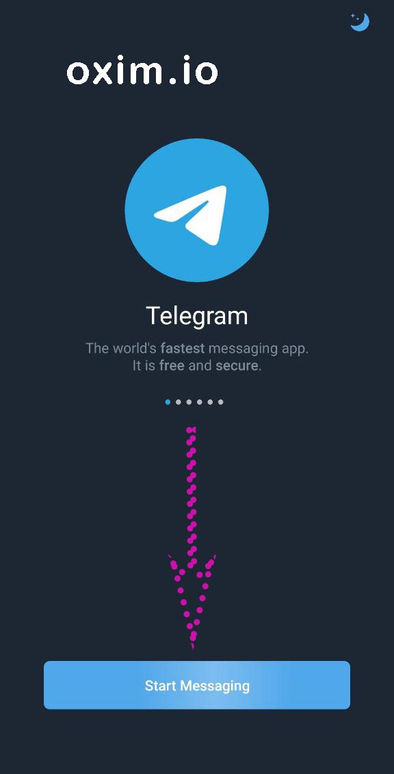 Launch the Telegram Application